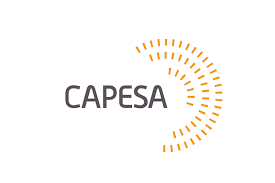 Logo du CAPESA, Centre d'Appui aux Écoles de Statistique Africaines